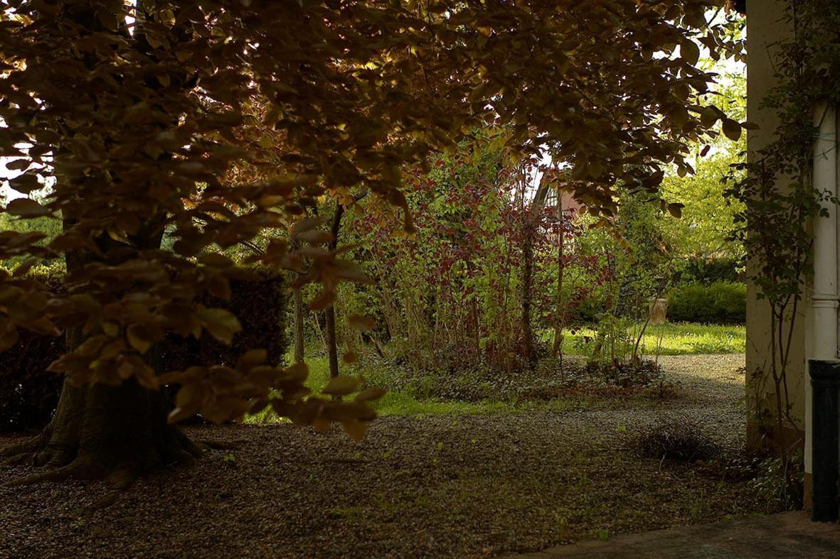 La Maison Carre Wolxheim Luaran gambar
