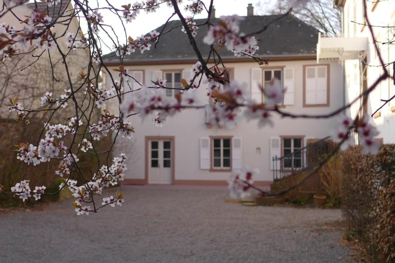 La Maison Carre Wolxheim Luaran gambar